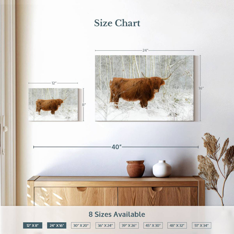 Hiver Highland Cow, H 16 po x l 24 po