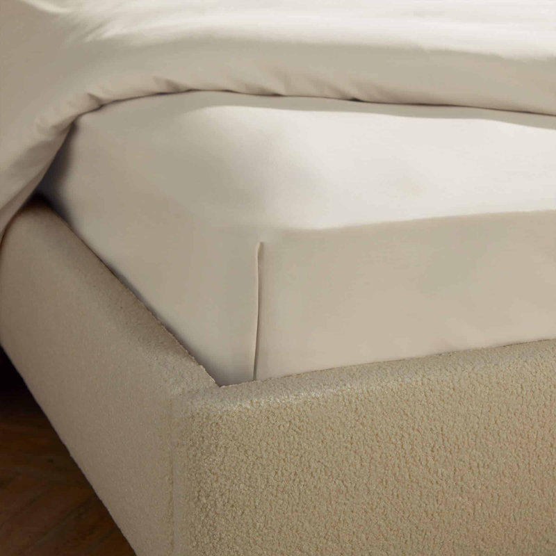 Silentnight Brushed Cotton Fitted Sheet, Double (4'6), Ivory