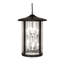 Fulton 8 - Light Chandelier
