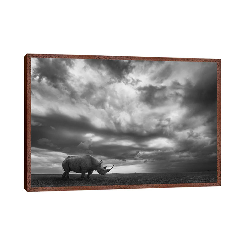Rhino Land by Mario Moreno - Print on Canvas, 66.04cm H x 101.6cm W x 3.81cm D, Classic Brown Wood Floater Framed