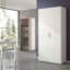 Gurtrue 2 Door Manufactured Wood Wardrobe-520211374