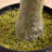 13ft. Artificial Olive Tree