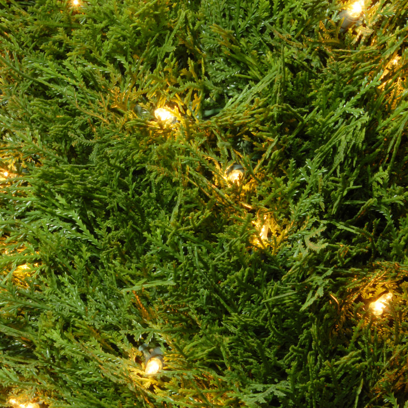 Pre-Lit Artificial Upright Juniper, 48" H x 17" W x 48" D