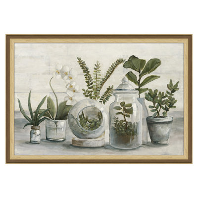 Cristal Plants Framed Art by Art Brand Studios