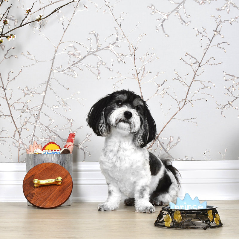 Flights of Fancy Dog Bone Kitchen Canister