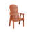 Orange mangue