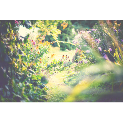 Hidden Garden 1 Piece Wrapped Canvas Wall Art