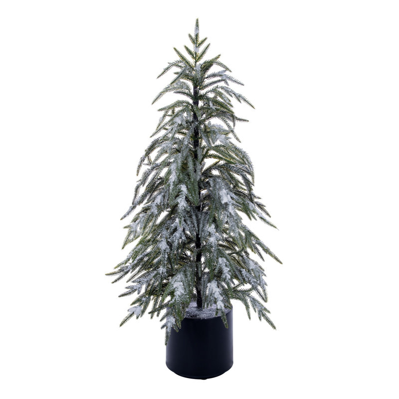  Arbre en pot 3 pi Norfolk, 3 pi x 7,1 po