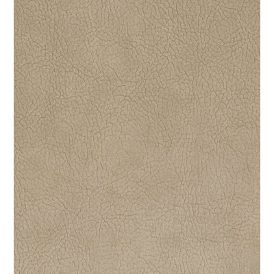 Essential Leathers Fabric