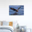 Bald Eagle Water Landing Contemporary Bird Eagle Nature Wildlife Wall Art Print 1 Piece Wrapped Canvas Wall Art-71000717