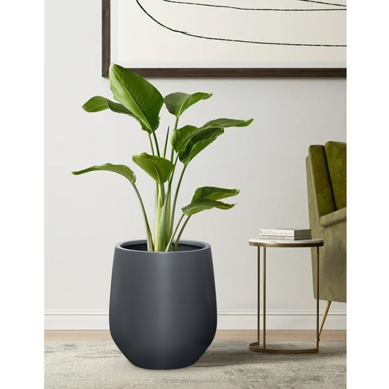Dorlis Fiberstone Pot Planter, 21.5" H x 20" W x 20" D, Charcoal