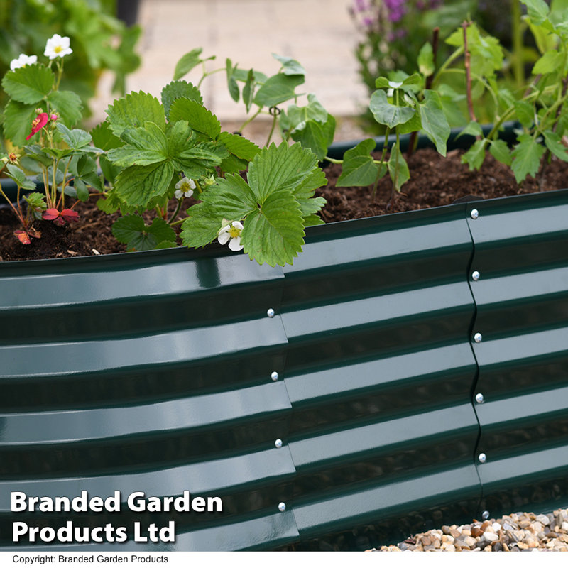 Dakhla Metal Raised Flower Bed (x2)