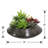 6 " H Faux Succulent Plant in Ceramic Pot-1520802209