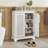 Two Door Rattan Storage Cabinet With Adjustable Partition