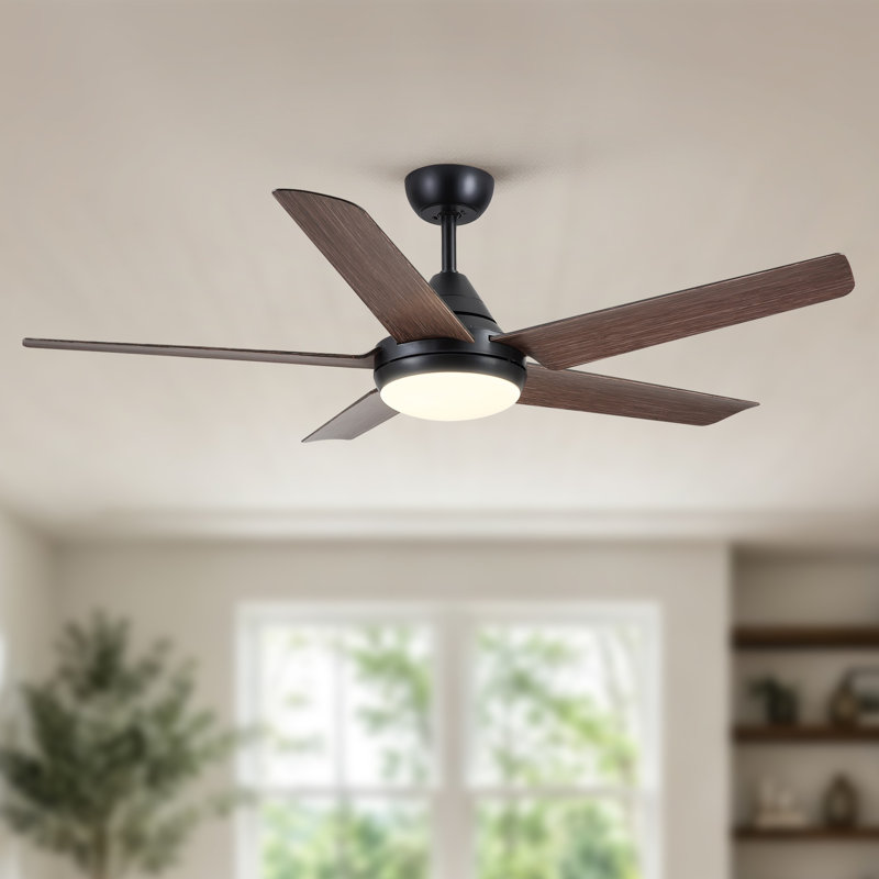 Ventilateur de plafond 5 lumières Modern, Noir avec pales brunes