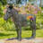 Adamou Metal Statue Planter