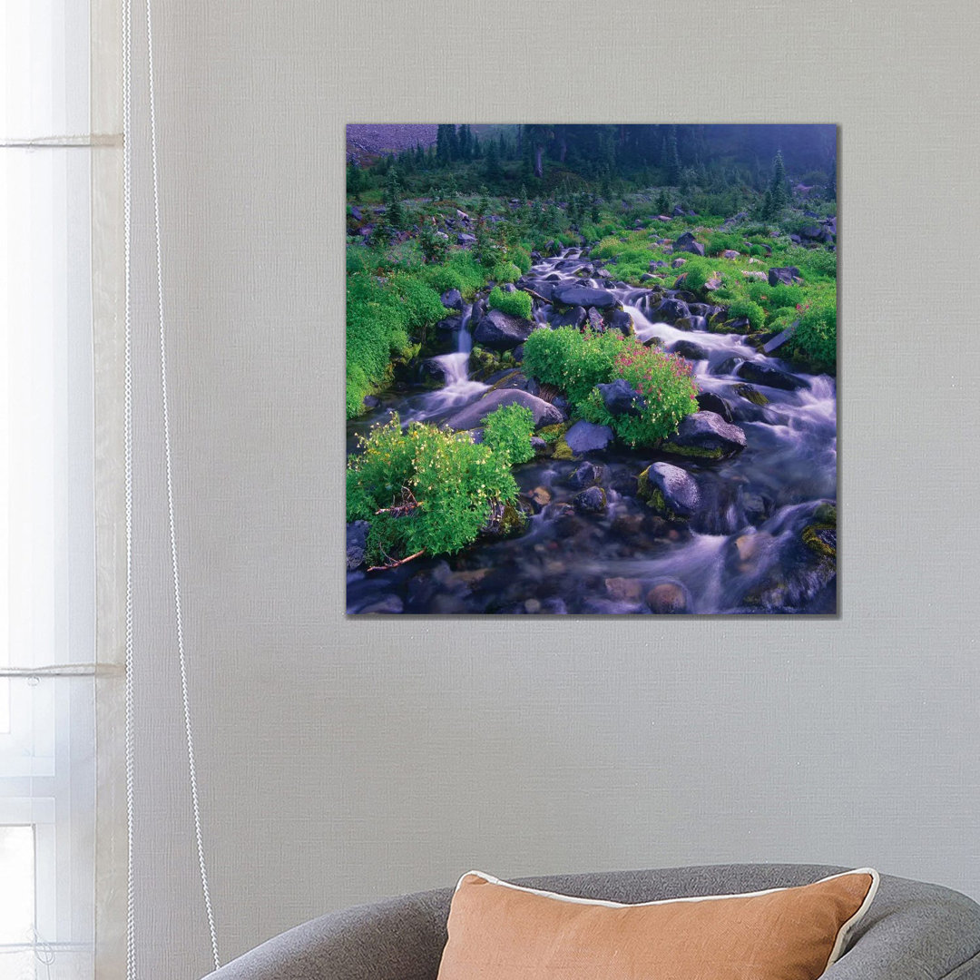 Paradise River mit Wildblumen, Mount Rainier National Park, Washington