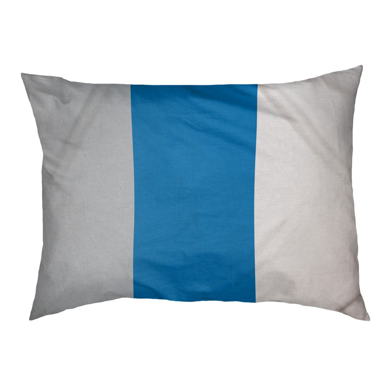 Coussin Designer, Moyen (L 18 po x l 28 po), Argent / bleu / blanc