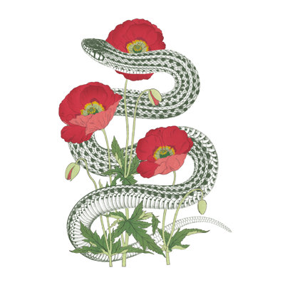 «Natural Beauty II» par Wild Apple Portfolio - impression sur toile tendue