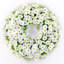 Couronne 20 po Morningglory-322782476