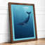 Whale in Open Water Coastal - Framed Print-563093078-563093082