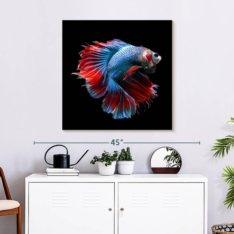 Brampt Blue And Red Betta Fish, 30" H x 30" W
