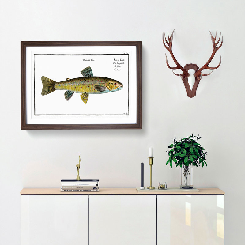 Trout Fish by M.E. Bloch - Picture Frame Painting Print, Walnut Framed, 27cm H x 36cm W x 2cm D