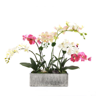 Arrangement floral orchidée phalaenopsis en pot Real Touch
