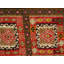Muirne Oriental Area Rug in Rust