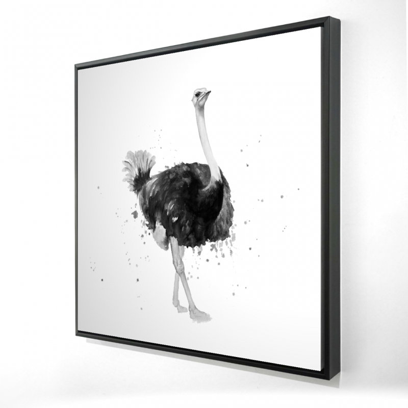 «Proud Ostrich»