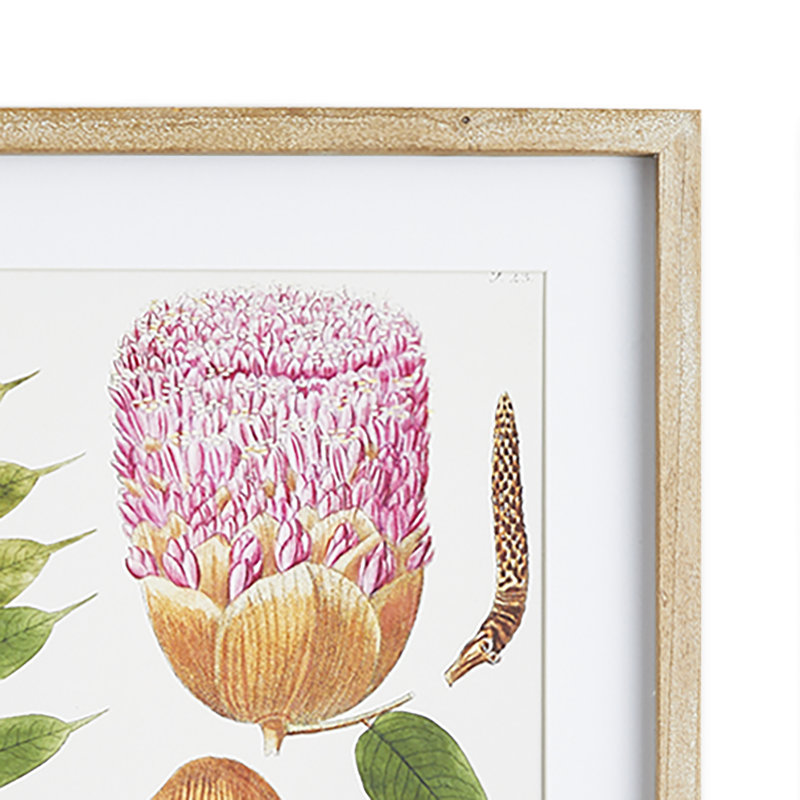 Violeta Leaf Botanical Study Prints, Set of 6