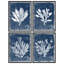 Ensemble 4 pièces d'art mural botanique d'algues côtières - impressions encadrées bleu indigo pour décoration de maison de plage ou de salle de bain-112375304-112375308