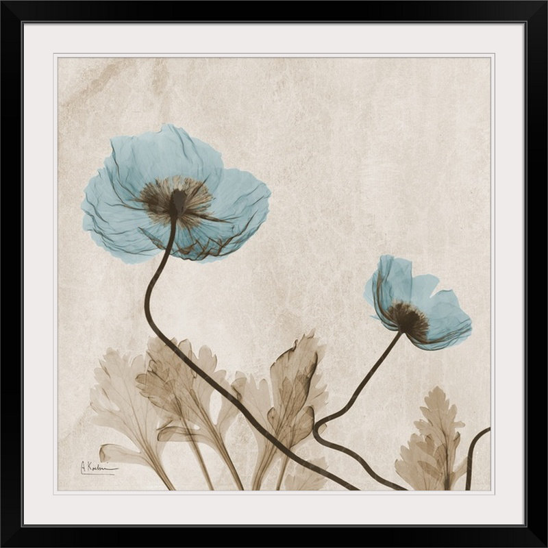 "Poppy X-Ray" de Manigault par Kiranjit, reproduction de photo, H 28 x l 28 po x P 1 po, Cadre noir