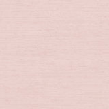 Palazzo Plain Silk Texture Wallpaper Roll