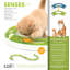 Cat Senses Play Circuit