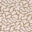 Anibal Performance Fabric-234105180