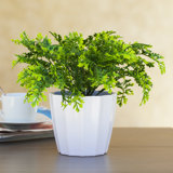 12'' Faux Evergreen Grass in Pot