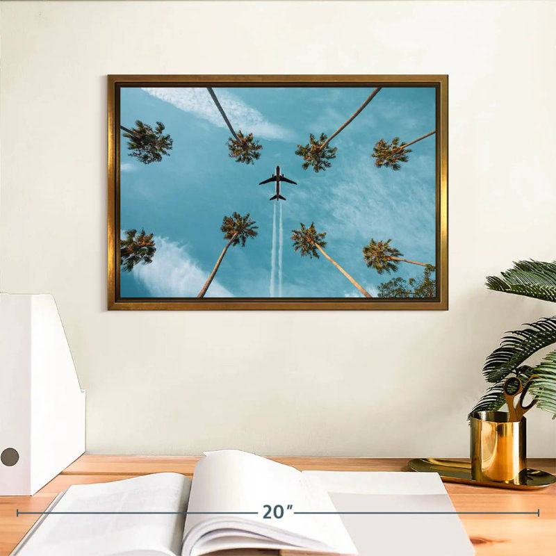 Avion au-dessus de palmiers, Cadre flottant doré, 13 po x 9 po