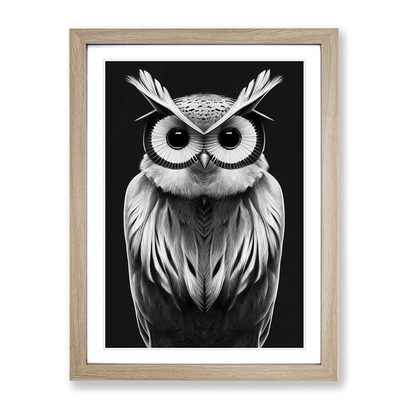 Owl in Monochrome No.6 - Framed Print, 34cm H x 25cm W x 2cm D, Oak