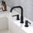 Widespread 2-handle Bathroom Faucet-82676476