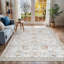 Caspian Area Rug-70047661