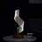 Acrylic Novelty Lamp
