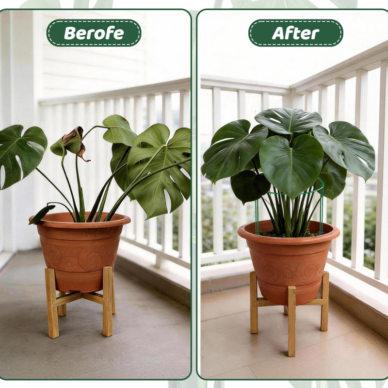 Deaotoys Plant Trays/ Stands Flowers