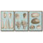 Ensemble de 3 pièces sépia et aqua coquillages IV encadrées sur toile-97710698-97710702