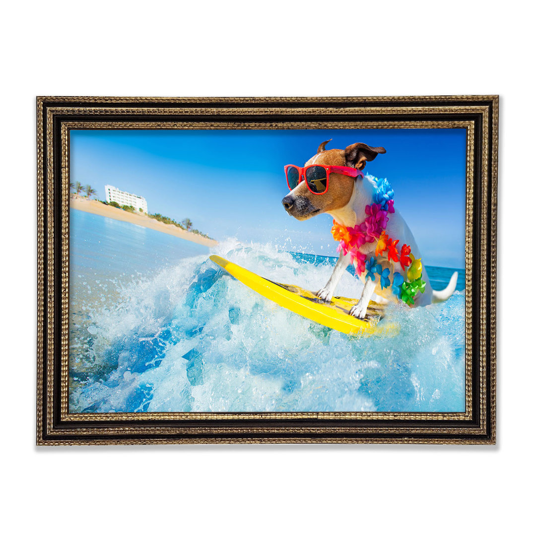 Gerahmtes Leinwandbild Dog With Sunglasses Surfing