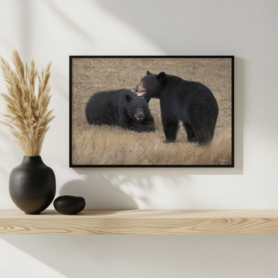«Paire d'ours» par Lori Deiter, reproduction d'art