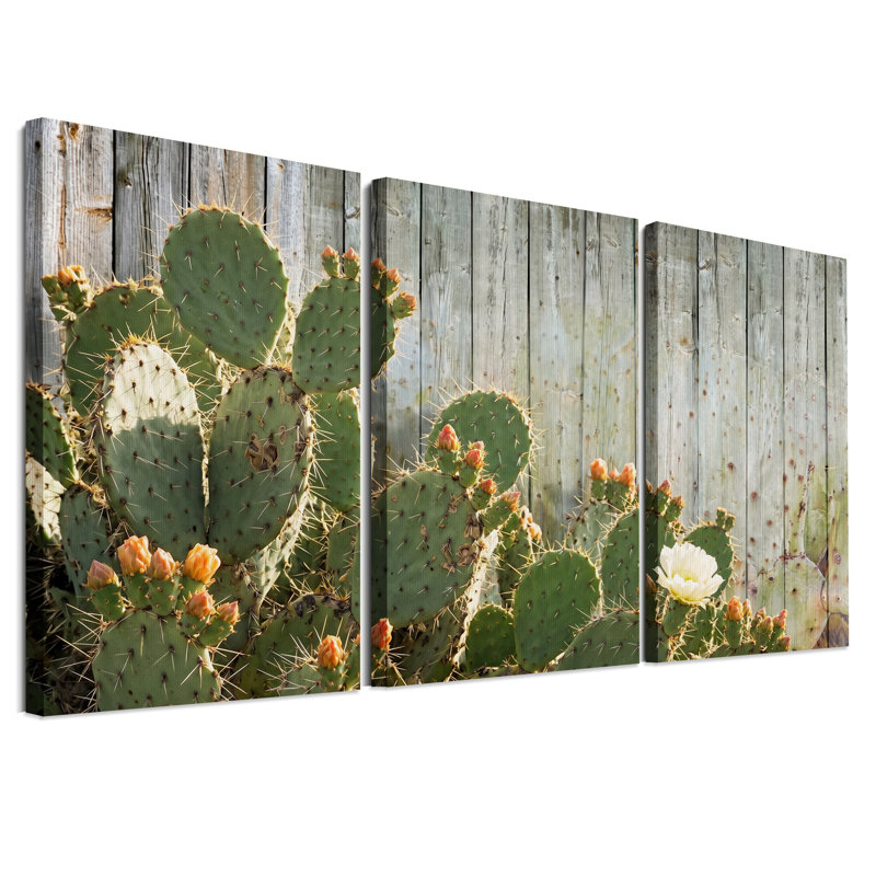 Ensemble de 3 toiles murales représentant un cactus figuier de Barbarie à fleur blanche sur bois vieilli