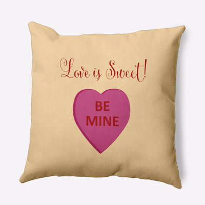 Polyester Indoor/Outdoor Throw Pillow