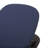Chaise Lounge With Cushion