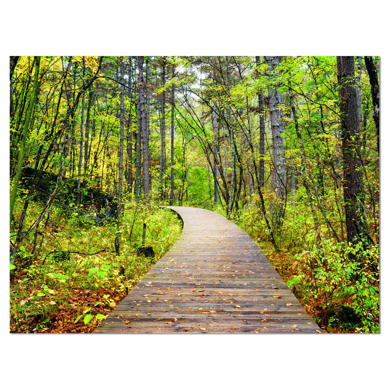 « en bois boardwalking on forest », reproduction de photo sur toile, H 20 po x l 20 po x P 1 po